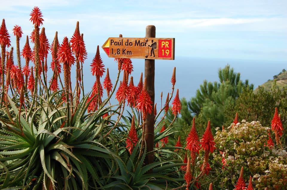 Sunny House West Beach Paul do Mar (Madeira) Exterior foto